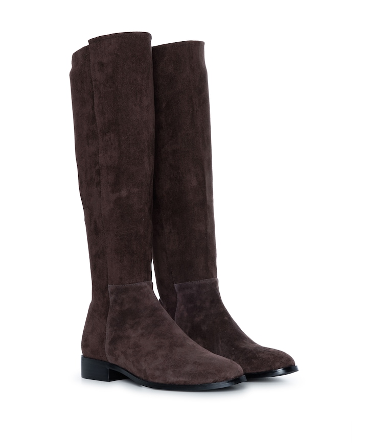 Janine dames laarzen bruin