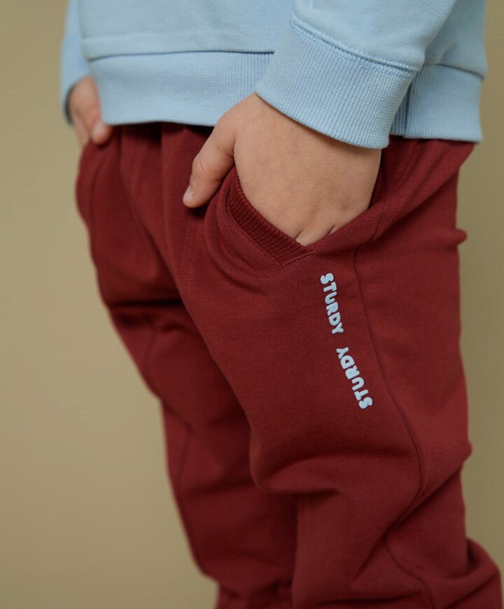 Waves and whales broek bordeaux