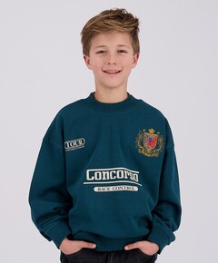 Jongens sweater blauw