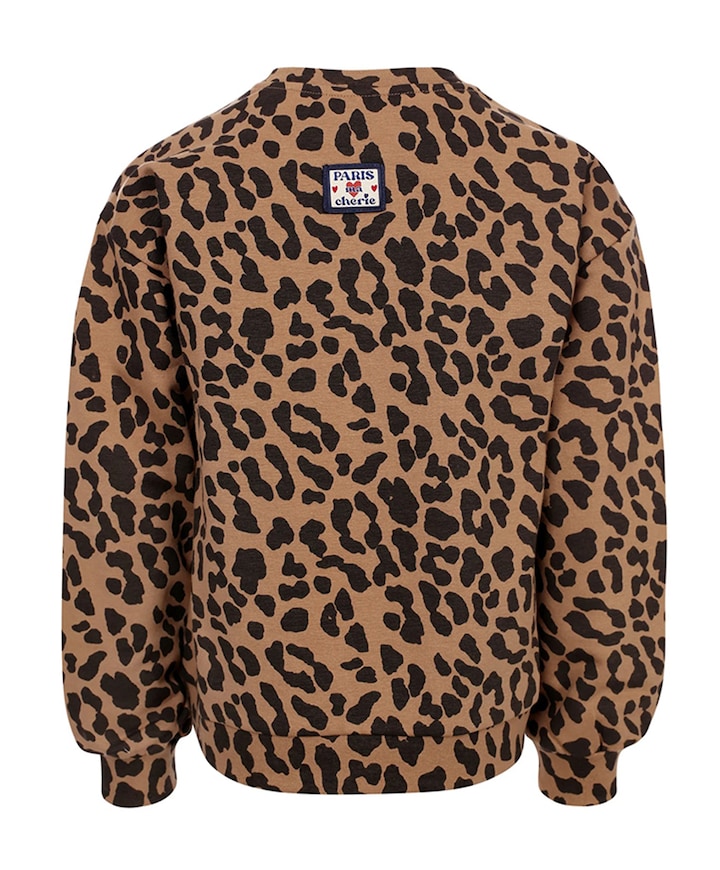 Meisjes sweater bruin