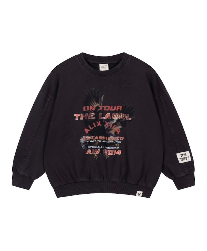 Meisjes sweater grijs