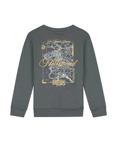 Jongens sweater grijs
