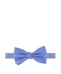 Vlinderstrikje blauw