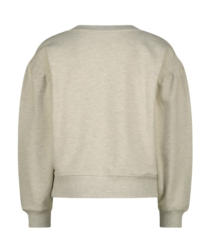 Meisjes sweater grijs