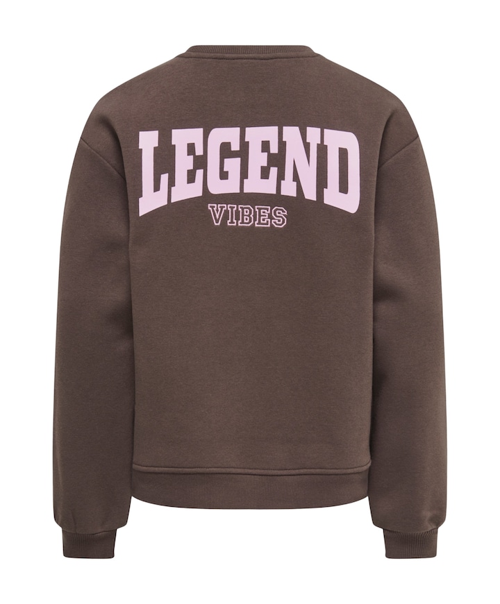 Meisjes sweater bruin