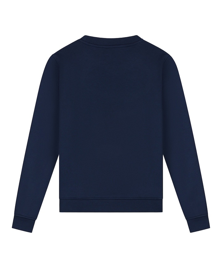 Jongens sweater blauw