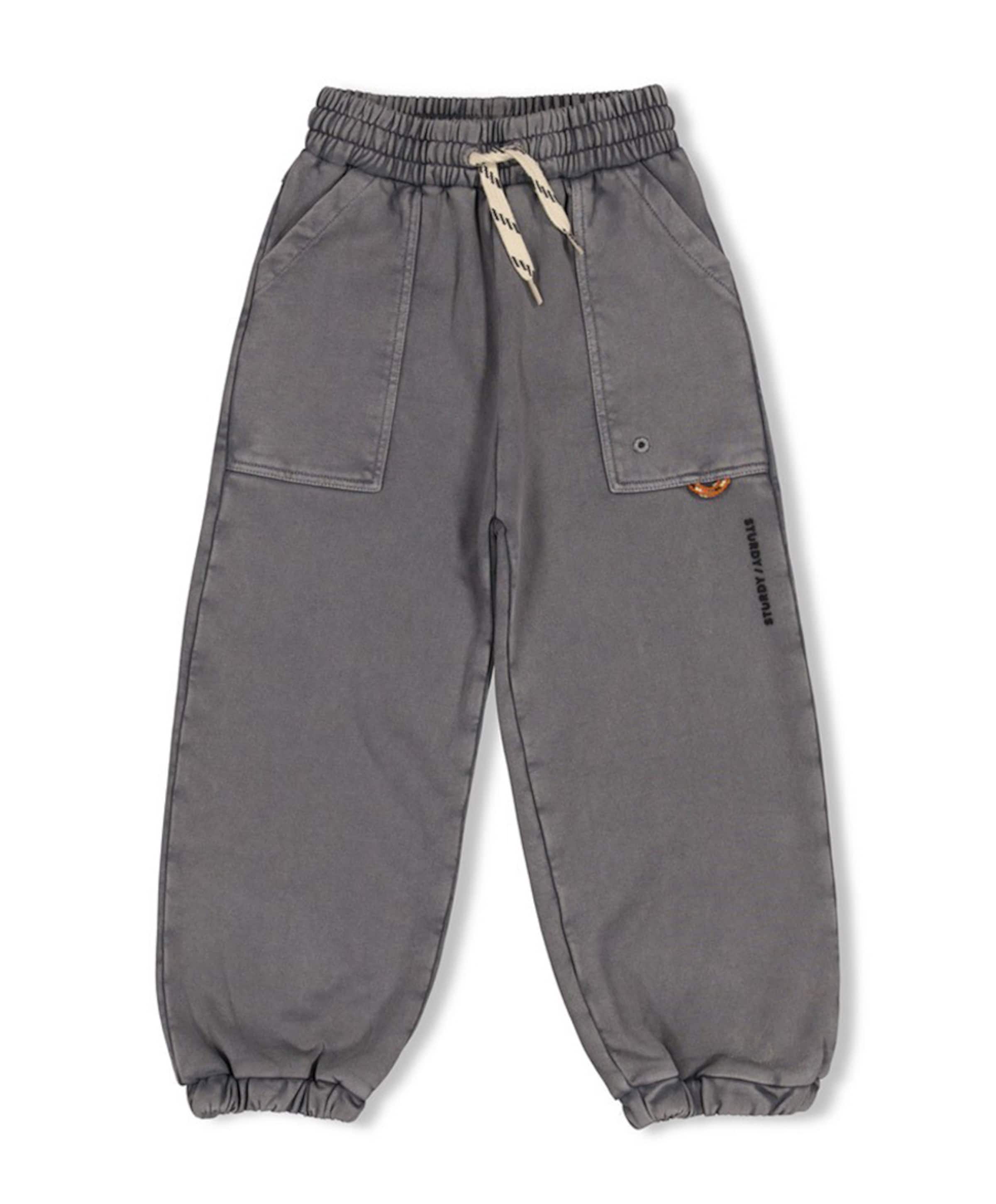 Broek loose fit - Mountain top jongens broek grijs