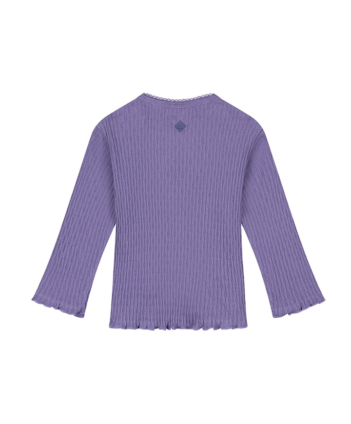 Meisjes longsleeve paars