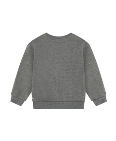 Meisjes sweater grijs