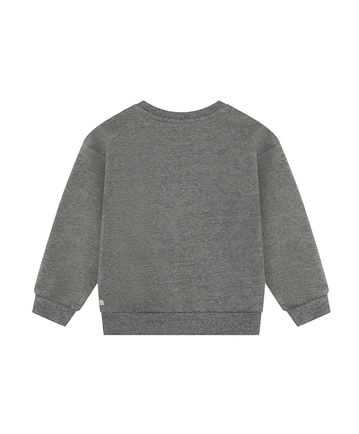 Meisjes sweater grijs