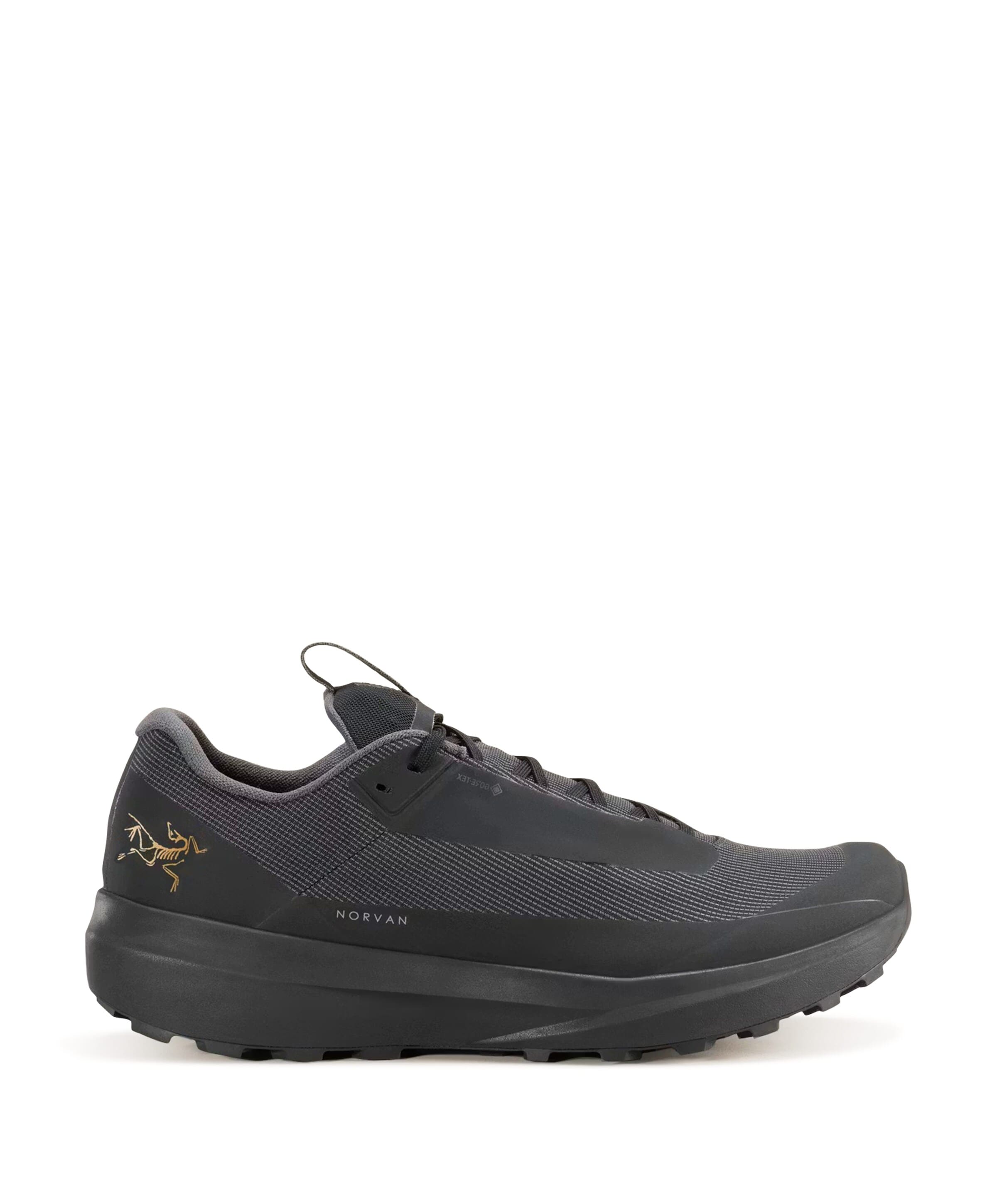 NORVAN LD 4 GTX MEN heren wandelschoenen zwart