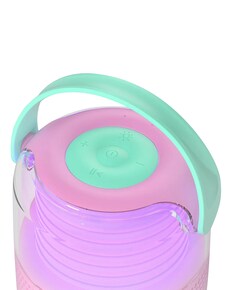 Karaoke & Luminous KS-80 speaker roze