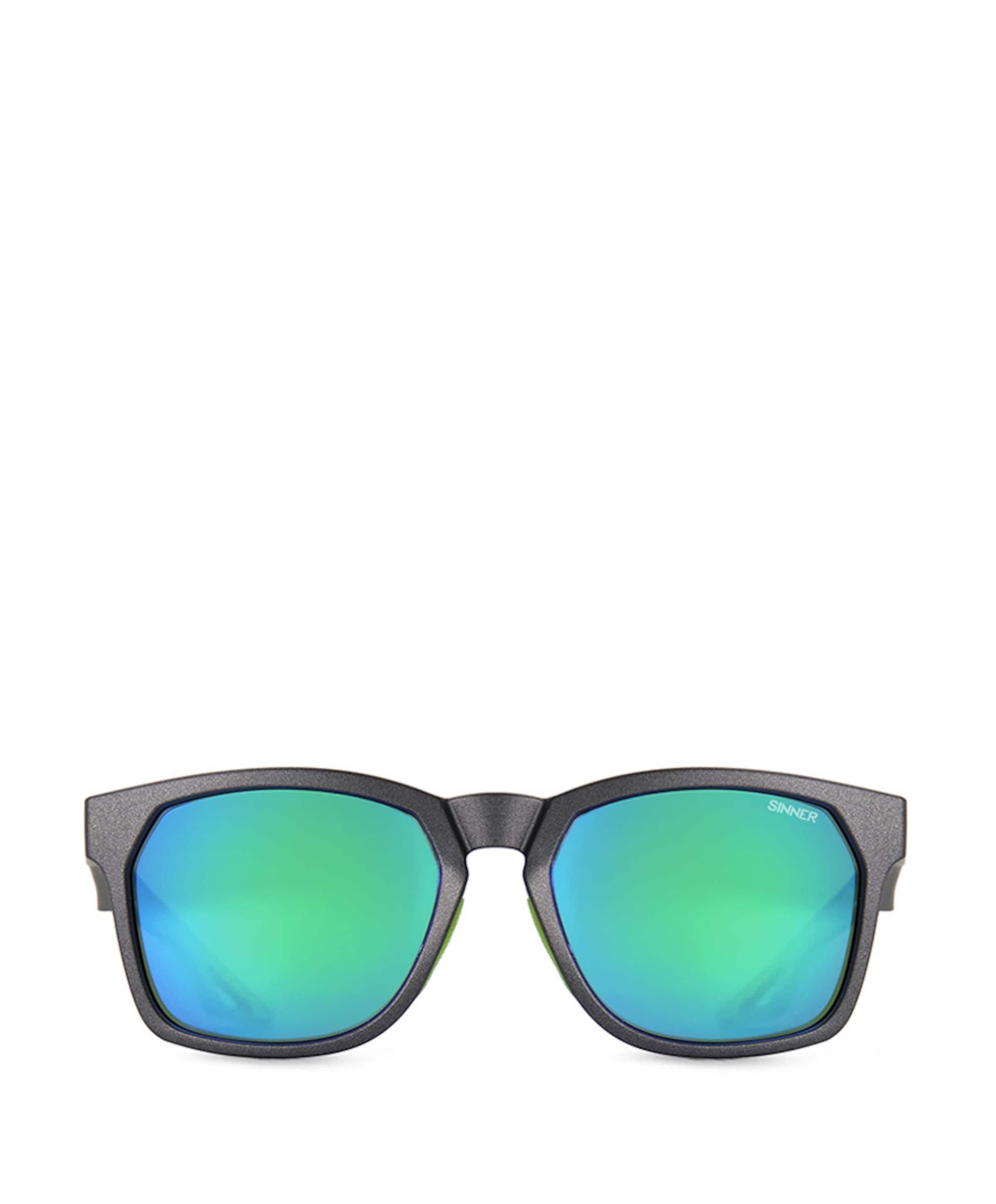 Ski zonnebril uniseks grijs