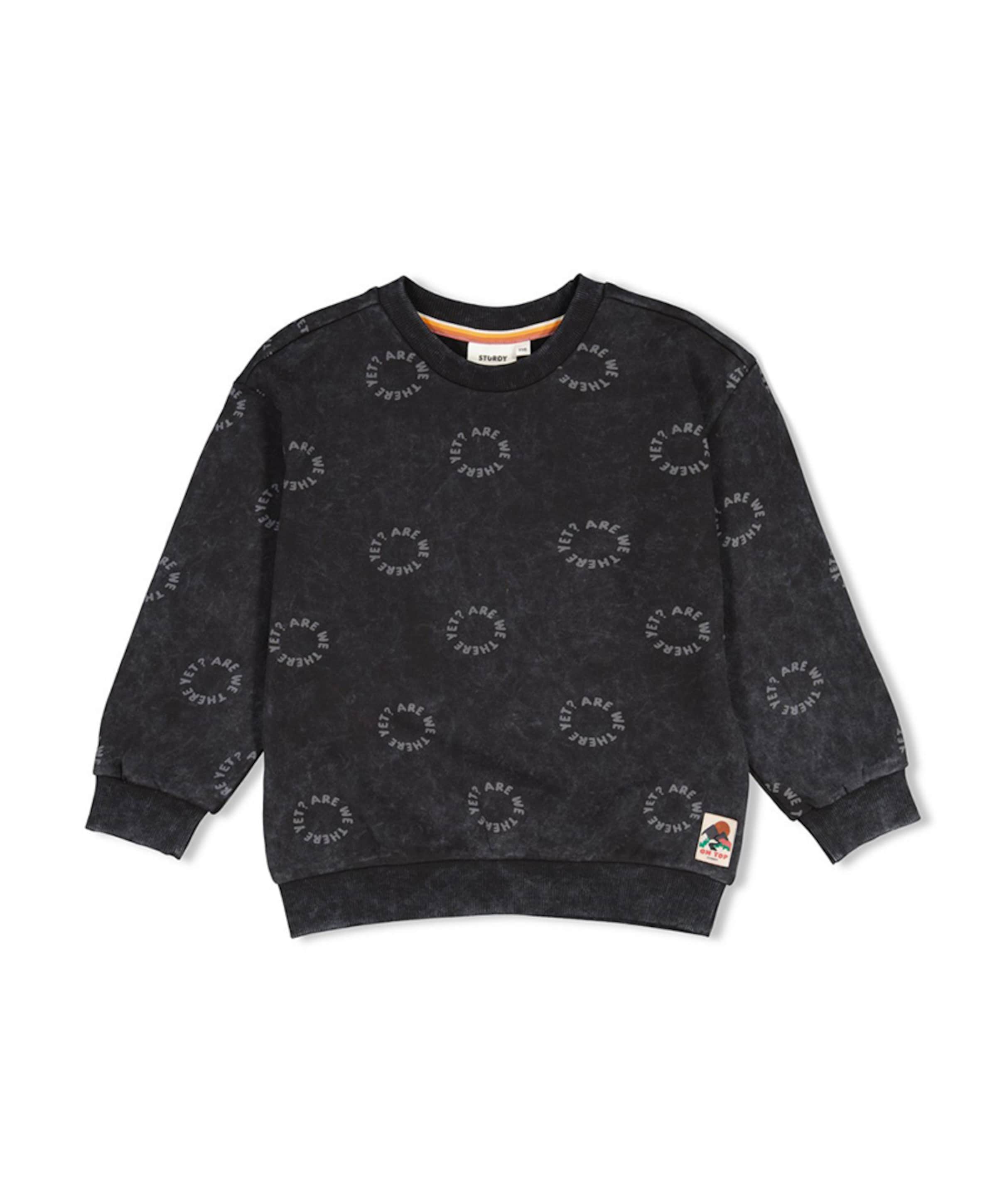 Jongens sweater grijs