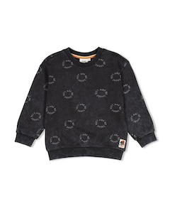 Jongens sweater grijs