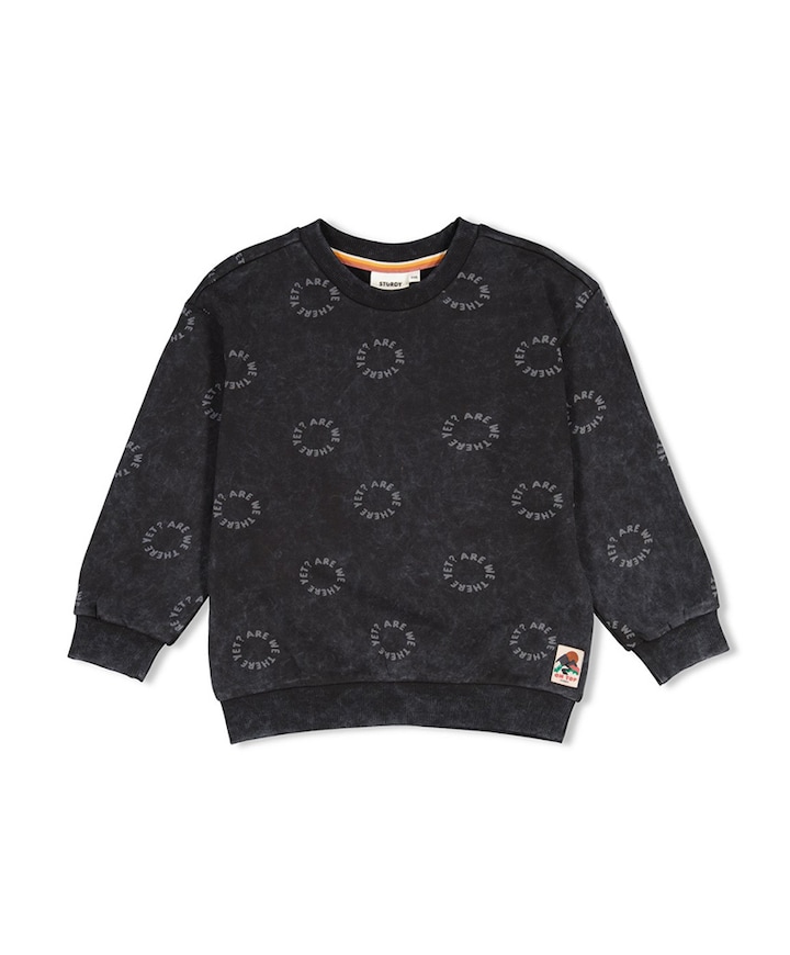 Jongens sweater grijs