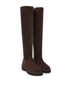 Liz Eiffel dames laarzen bruin