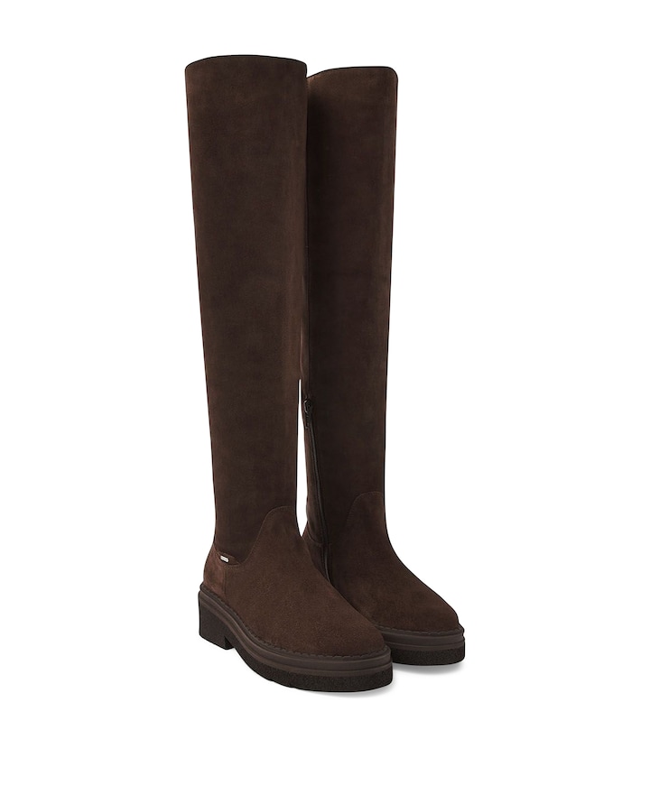 Liz Eiffel dames laarzen bruin