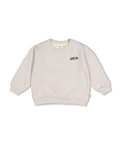 Jongens sweater beige