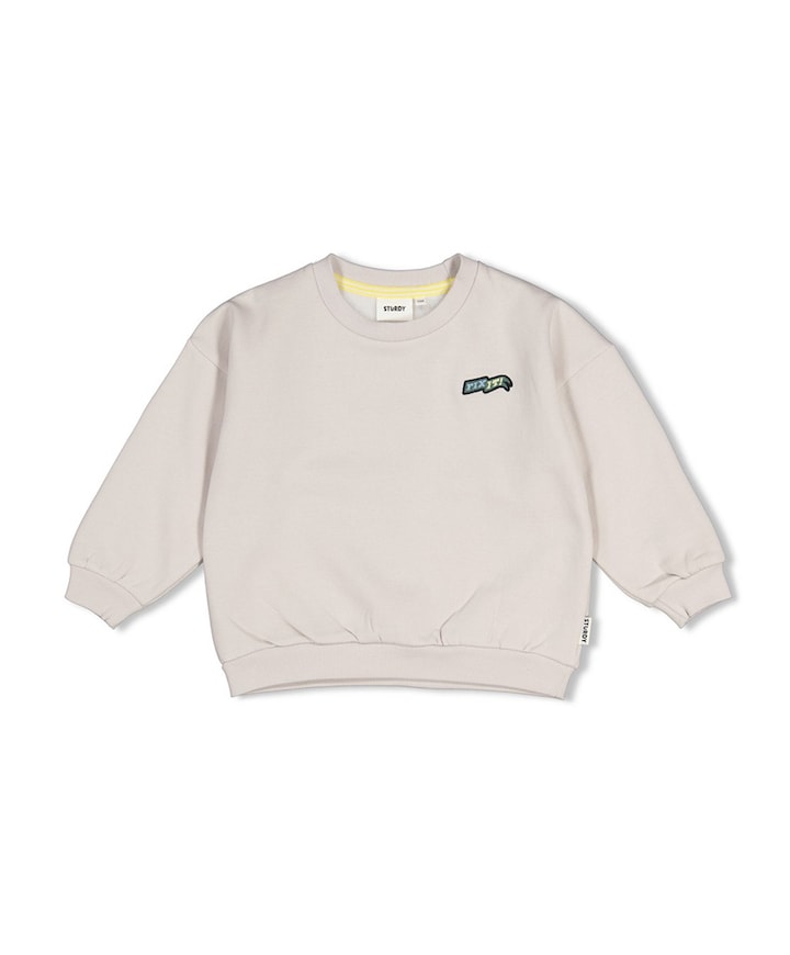 Jongens sweater beige