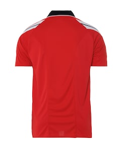 Polo rood