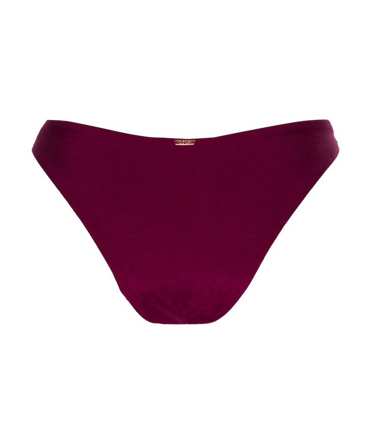 Bikinibroekje paars