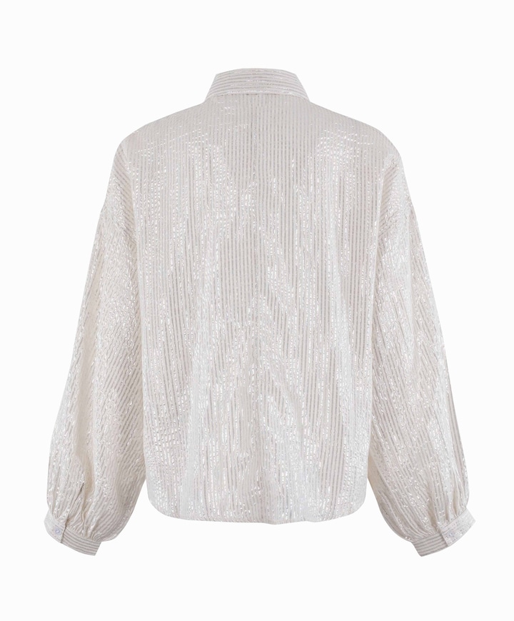 Dames blouse zilver
