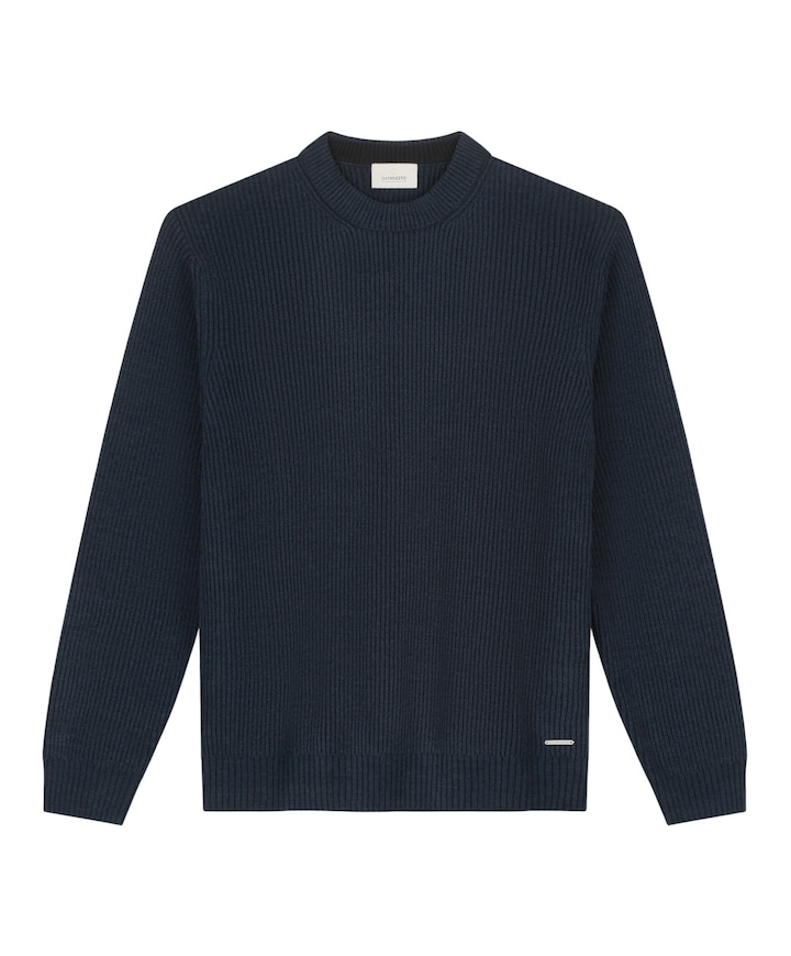 Heren trui blauw