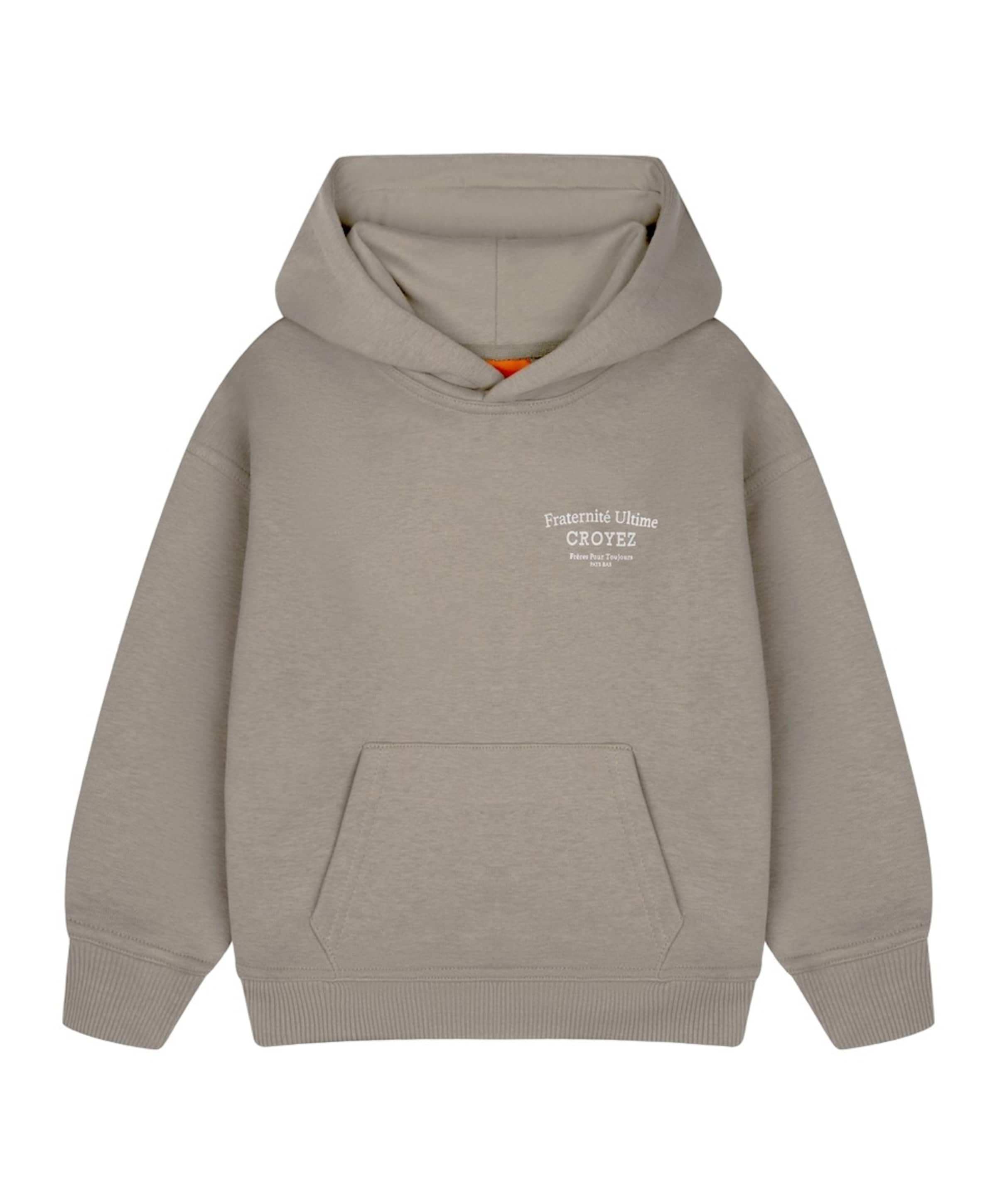 Jongens hoodie grijs
