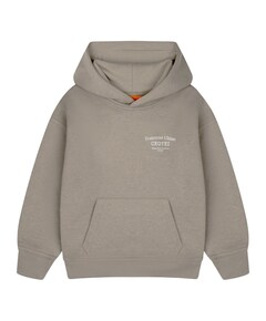 Jongens hoodie grijs
