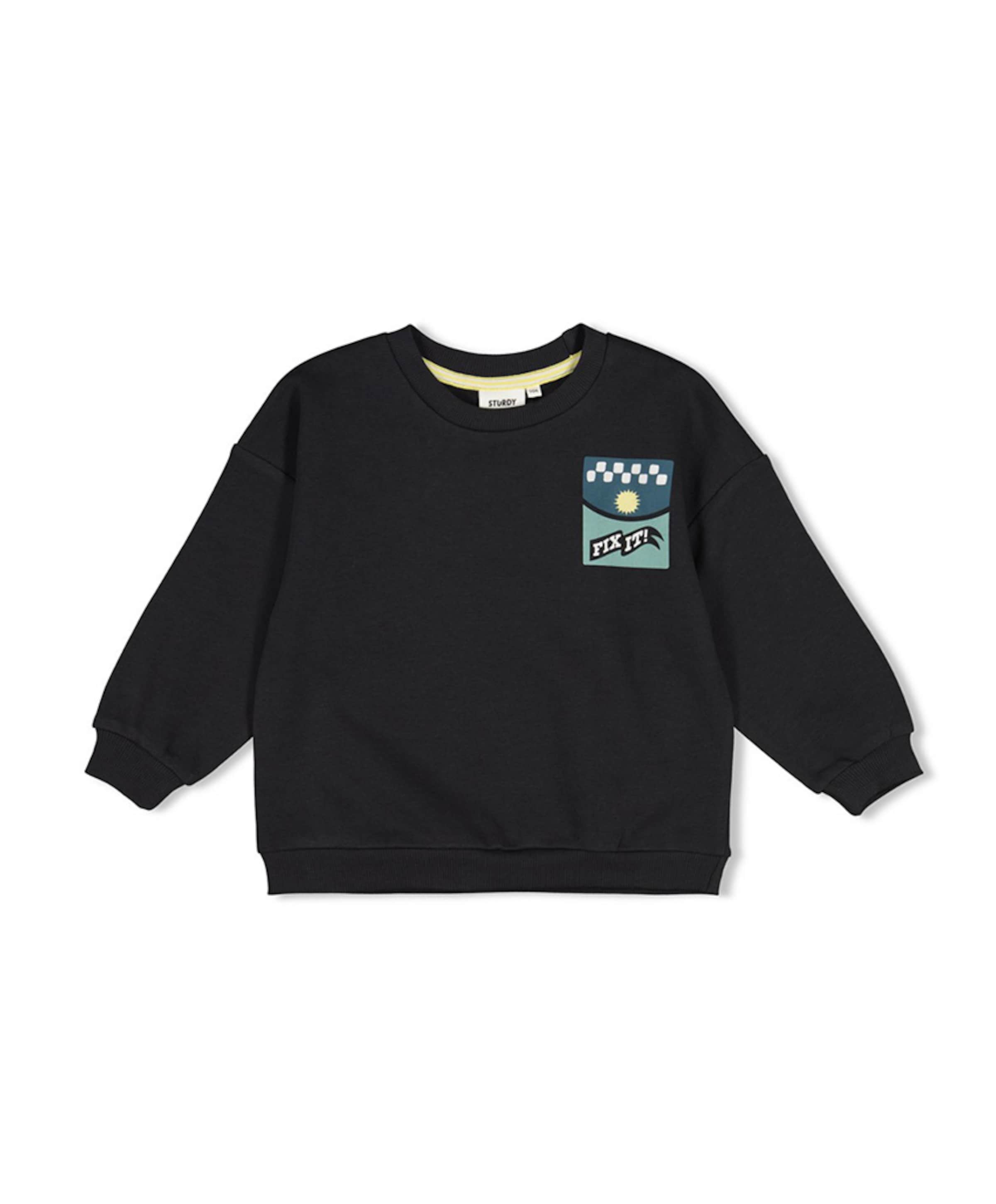 Jongens sweater grijs