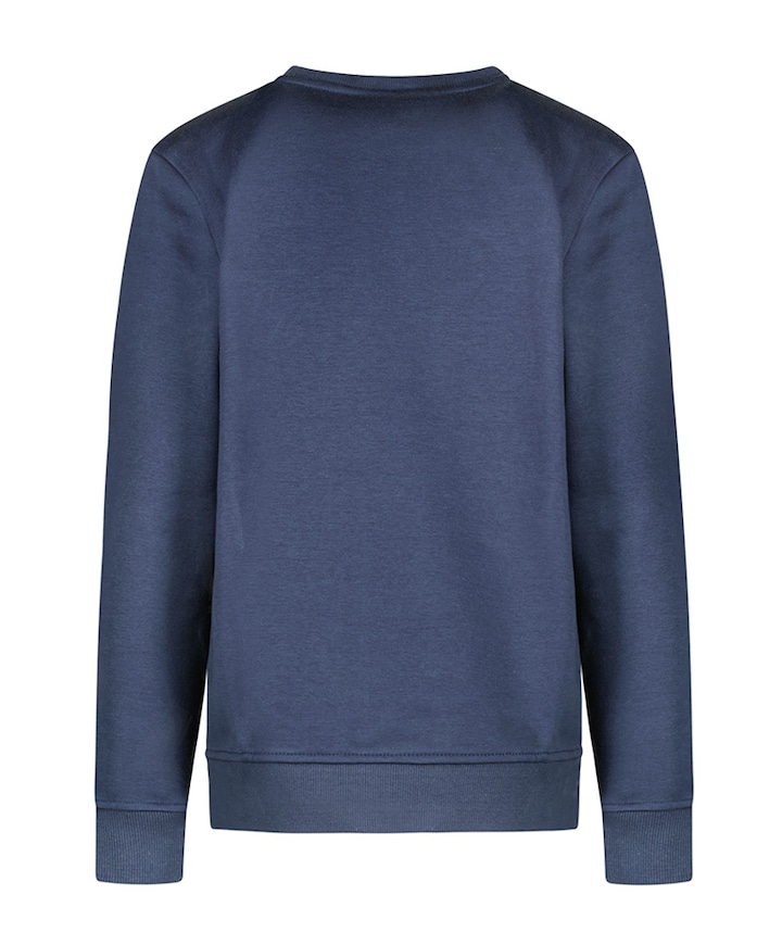 sweater blauw
