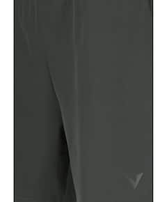 Spier V3 M Shorts heren shorts groen