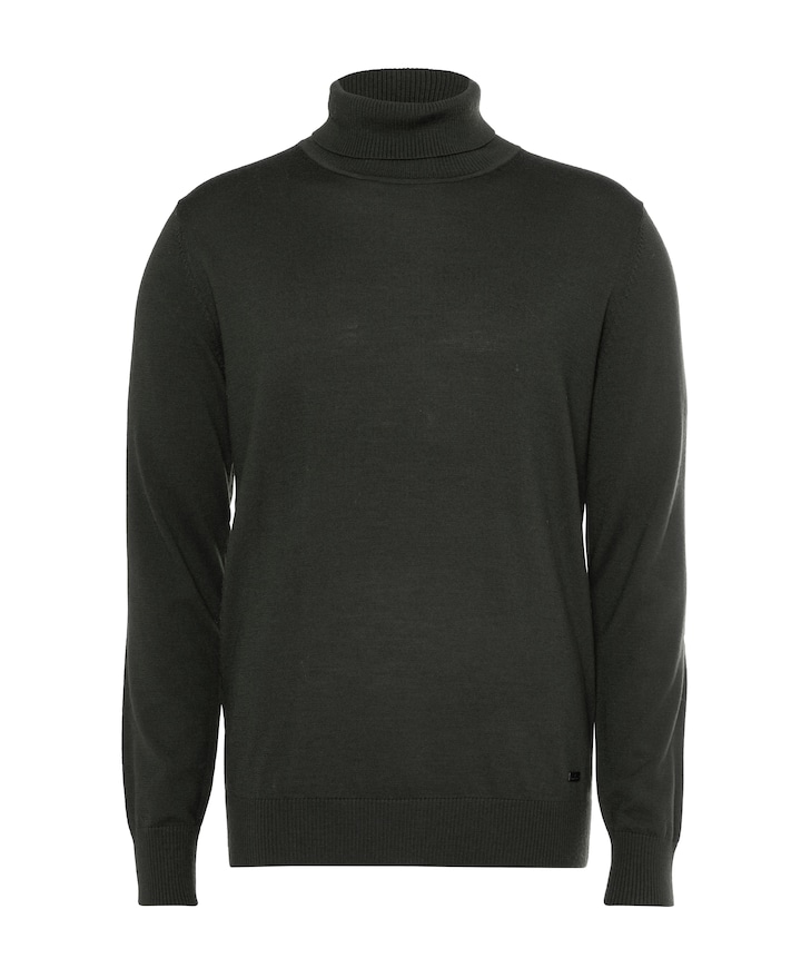 Heren coltrui groen