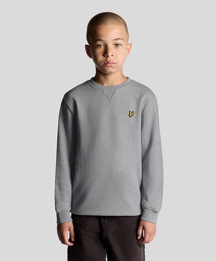 Jongens sweater grijs