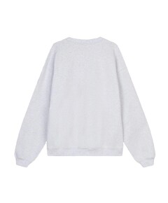 Heren sweater grijs