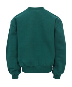 Meisjes sweater groen