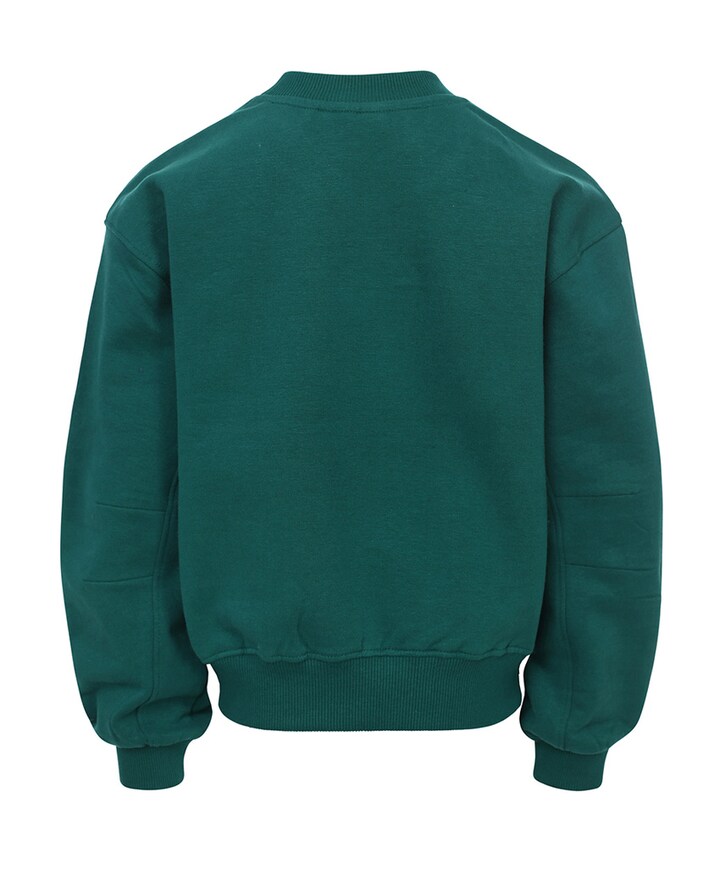 Meisjes sweater groen