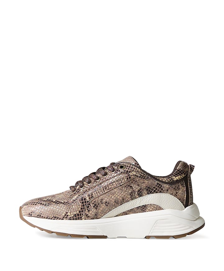 Bailey dames sneakers bruin