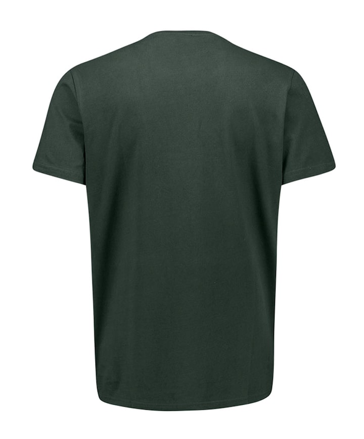 Heren t-shirt grijs