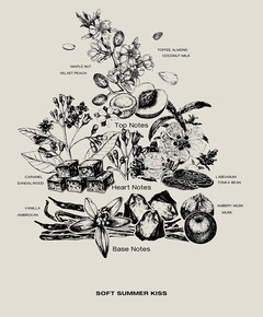 Soft Summer Kiss eau de parfum