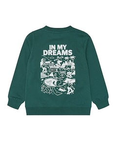 Jongens sweater groen