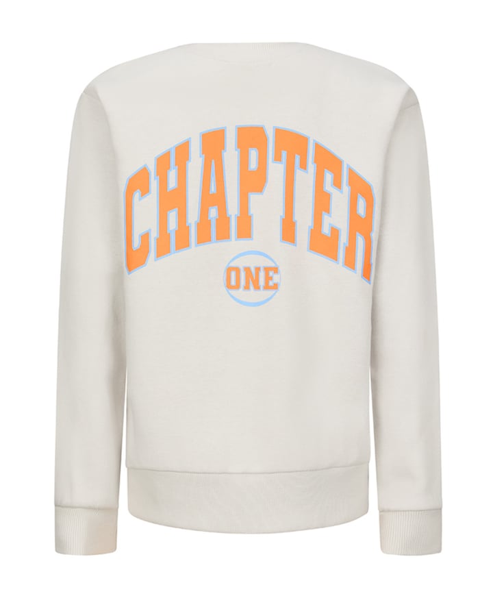 Jongens sweater grijs