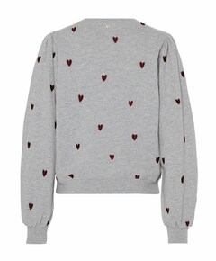 Dames sweater grijs