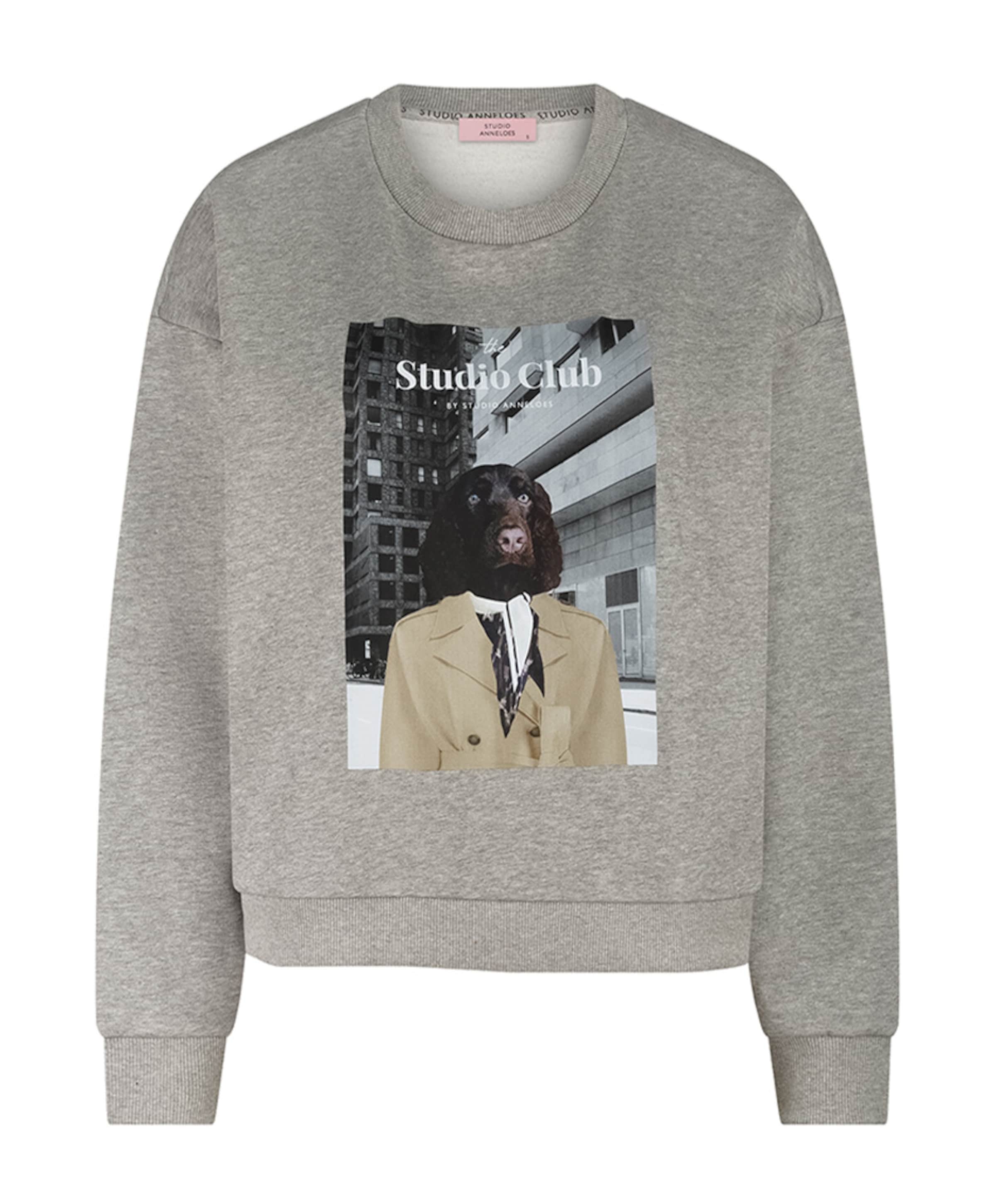 Dames sweater grijs