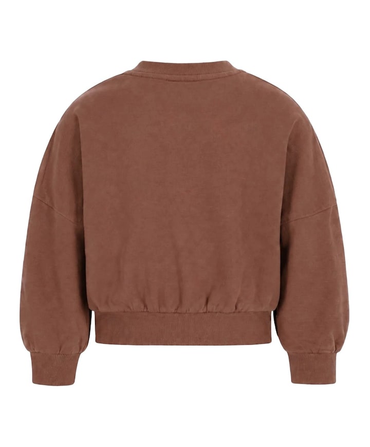 Meisjes sweater bruin