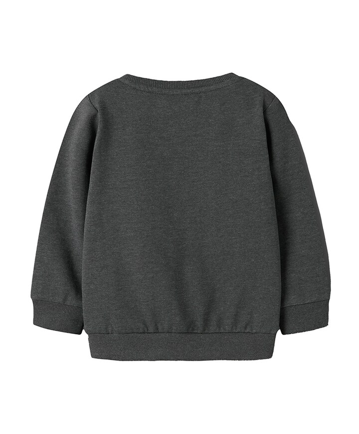 Jongens sweater grijs