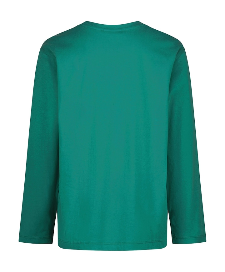 Jongens longsleeve groen