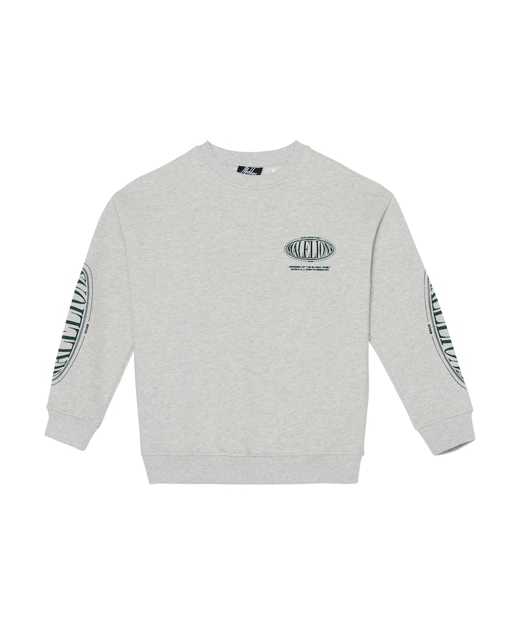 Jongens sweater grijs