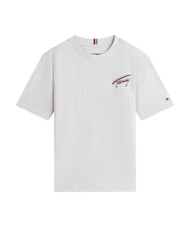 Jongens T-shirt grijs